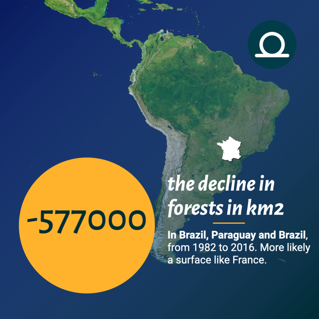 The decline in forests in south america